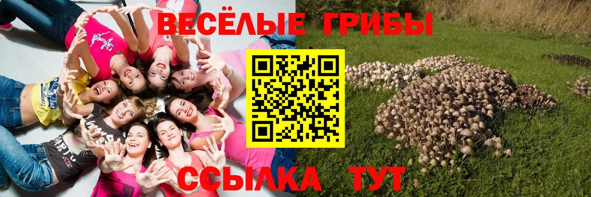 Псилоцибиновые грибы ЛСД Югорск